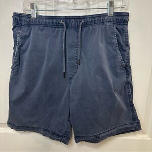 Men's American Eagle Blue Casual Shorts